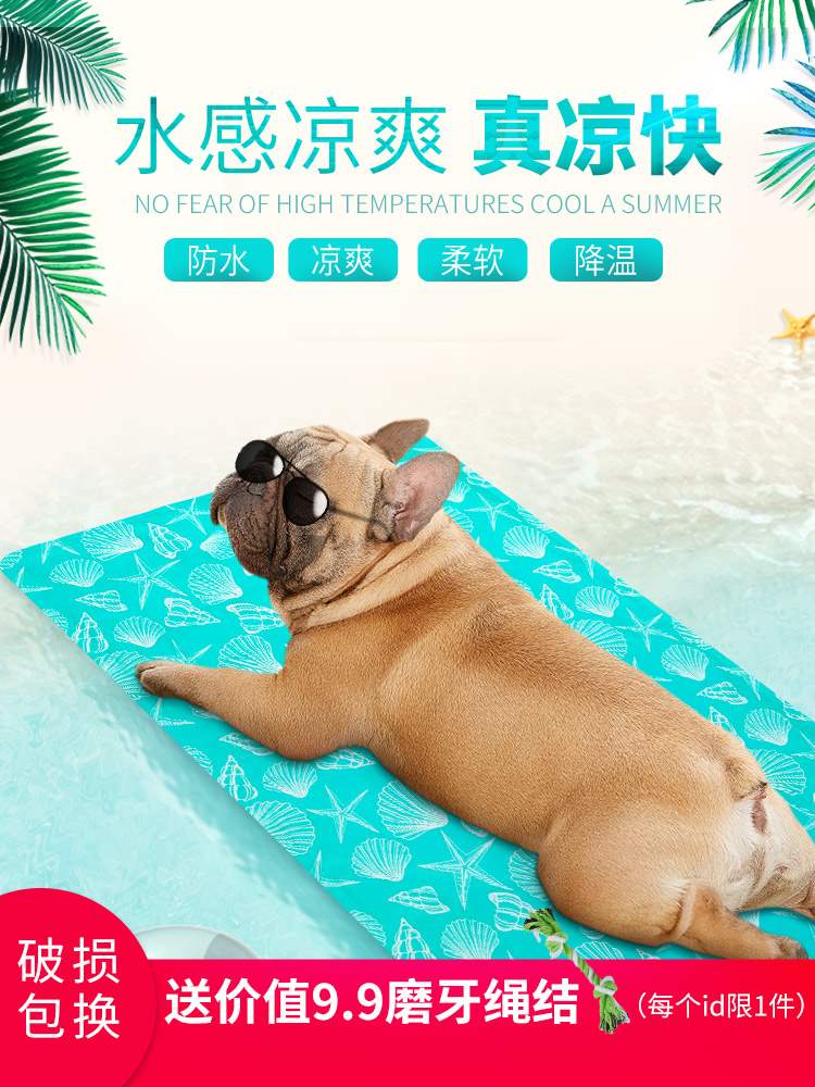 狗狗冰垫夏天降温凉垫子猫咪凉席睡垫耐咬狗窝小型犬泰迪宠物用品在类目 宠物/宠物食品及用品, 猫/狗日用品, 床/垫/沙发（新）, 垫子中 - 来自Buy2taobao.com提供专业的淘宝代购服务