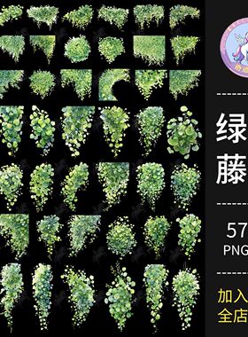水彩生机感绿色系山乌龟藤曼植物装饰PNG免抠饭圈美工可商用素材