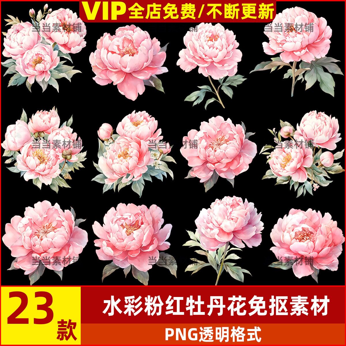 水彩粉红牡丹花烫画图案热转印花插图设计PNG免抠素材