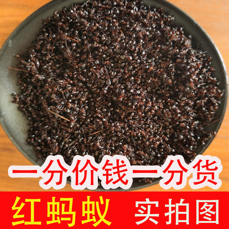 红蚂蚁 红蚂蚁干中药材 红蚂蚁泡酒 干货 新货 另有黑蚂蚁 黄蚂蚁
