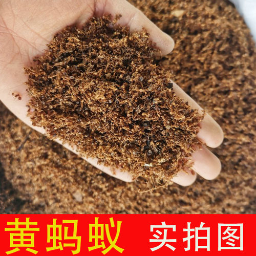 东北 长白山黄蚂蚁 中药材 泡酒 另有黑蚂蚁红蚂蚁