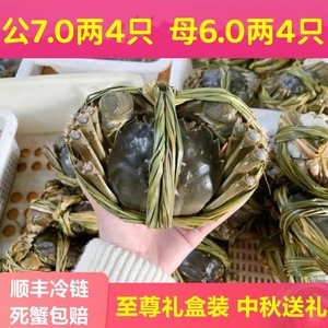 鲜活大闸蟹阳澄湖镇大闸蟹