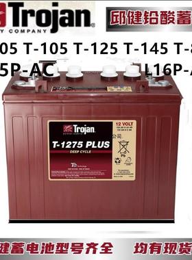 进口邱健蓄电池T-1275T-875T-145T-125T-105 8v6V240ah推高车L16P