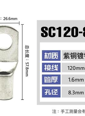 20只紫铜SC120-8/10/12/14/16窥口接线鼻子铜接头铜线耳接线端子
