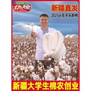 100新疆棉纯棉花被全棉被芯棉絮床垫被褥子冬被棉胎新疆优质被子