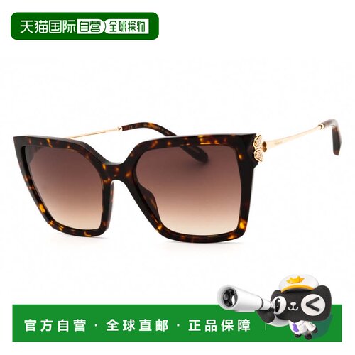 自营chopardSCH371S 0909 Shiny Havana/Brown Gradient - shiny