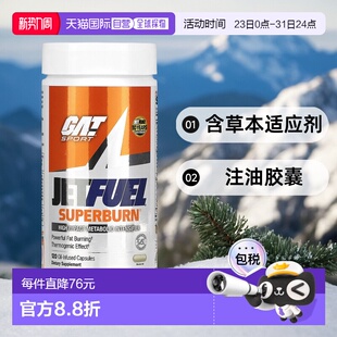 香港直发Gat红茶人参补充剂含草本适应剂注油胶囊健身增肌120粒