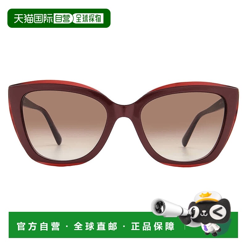 自营Longchamp Brown Gradient Butterfly Ladies Sunglasses LO6