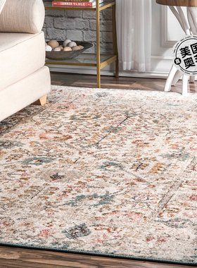 nuLOOM Lenore Vintage Floral Area Rug - beige 【美国奥莱】直