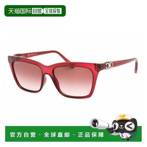 自营salvatore ferragamoEF1027S 655透明葡萄酒/棕色griient-透