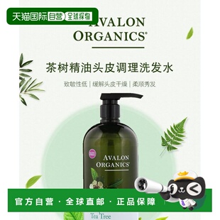 香港直邮avalon organics茶树精油头皮调理洗发水946ml清洁温和