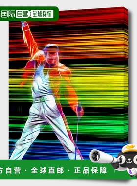 自营 curioos Freddie Mercury In Color - 黑色 美国奥莱直发