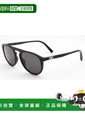 自营salvatore ferragamoFerragamo男士54mm太阳镜SF1090S-001-54