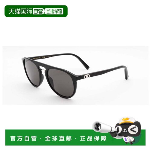 自营salvatore ferragamoFerragamo男士54mm太阳镜SF1090S-001-54