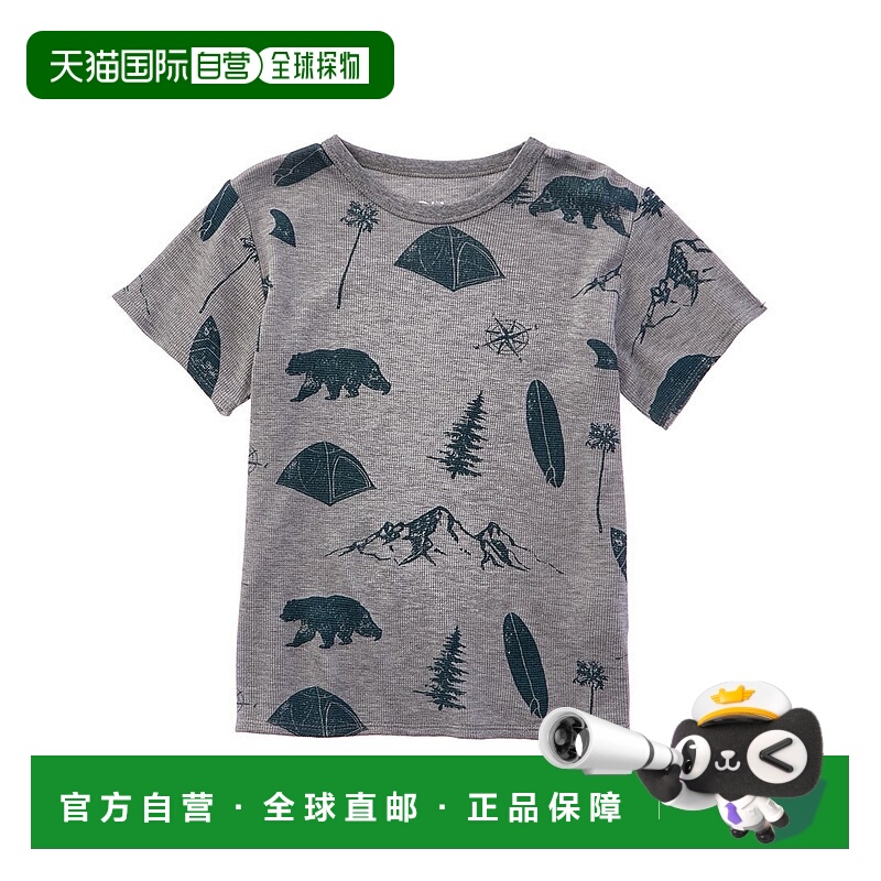 自营Chaser Camper Dream T-Shirt - grey 美国奥莱直发