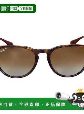 自营ray-banRay Ban Erika Classic Polarized Brown Gradient Ph