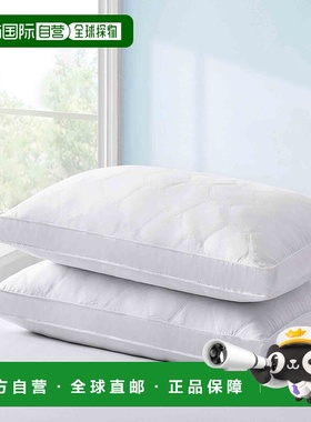 自营 puredownPURE DOWN Peace Nest 5% 灰色鸭绒羽绒枕头 2 件套