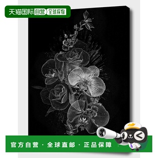 自营 curioos Fantasmagorik Botanica - 黑色 美国奥莱直发