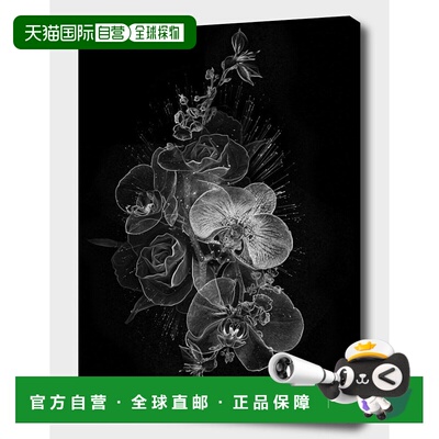 自营 curioos Fantasmagorik Botanica - 黑色 美国奥莱直发