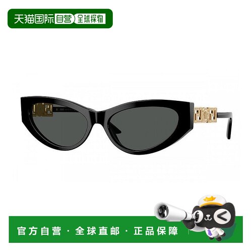 自营Versace Sunglasses Cat Eye Full Rim, Black Frame And Dar