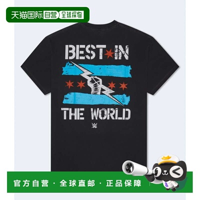 自营Aeropostale Wwe Cm Punk Relaxed Graphic Tee - black 1 美