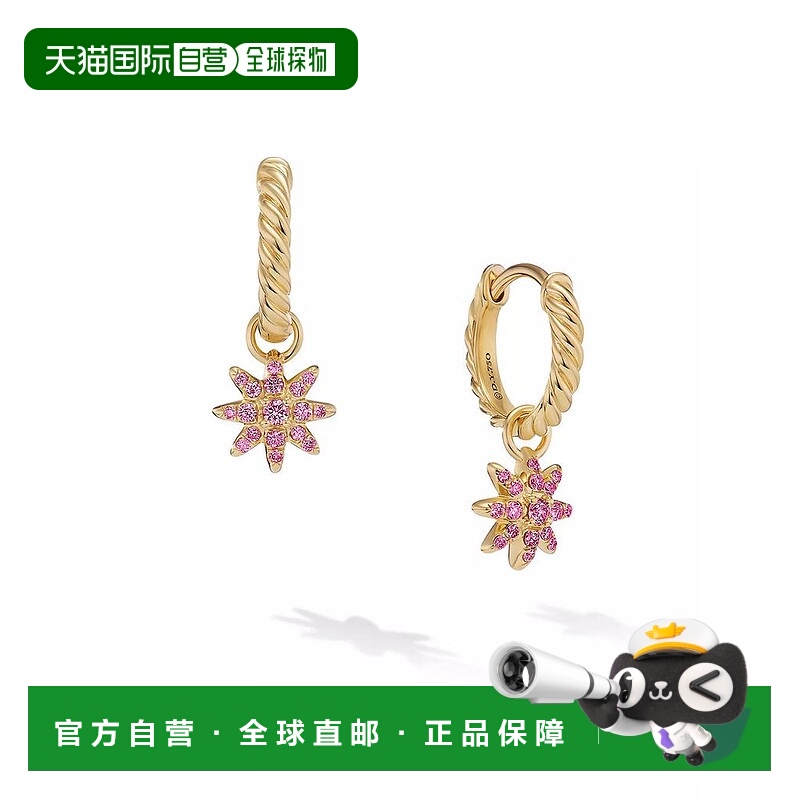 1h可退 【美国直邮】david yurman  耳钉