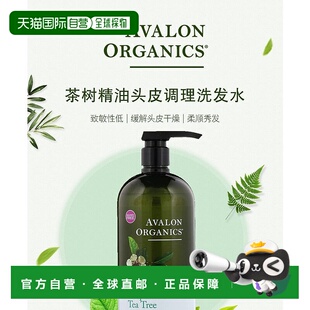 香港直邮avalon organics茶树精油头皮调理洗发水946ml清洁温和
