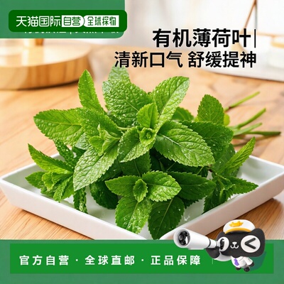 香港直邮Starwest Botanicals，有机薄荷叶 C/S，1 磅（453.6 克