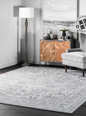 nuLOOM Gena Distressed Transitional Medallion Area Rug - lig