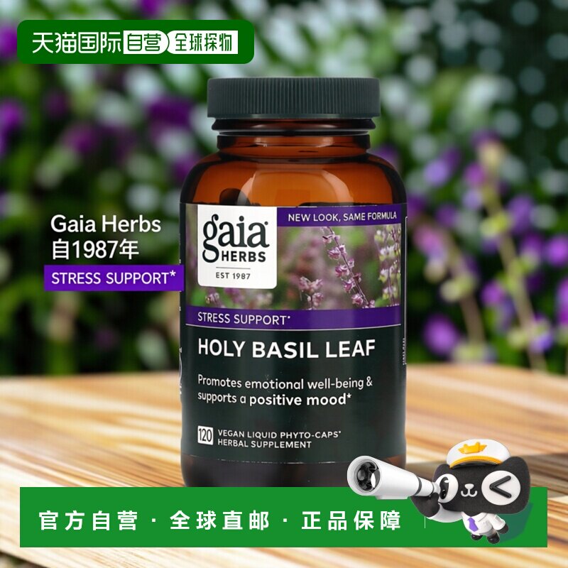 香港直发Gaia Herbs圣罗勒叶液体素食胶囊营养消化全素120粒
