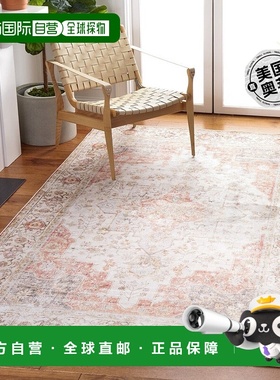 自营Safavieh Tucson Collection TSN105F - 浅灰色 / 铁锈色 【