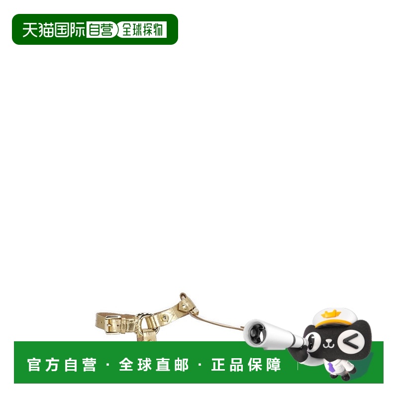 自营 ash金色皮革Patsy Bis凉鞋-金色 美国奥莱直发