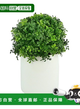 自营 creative displaysCreative 在圆柱形播种机中展示抗紫外线