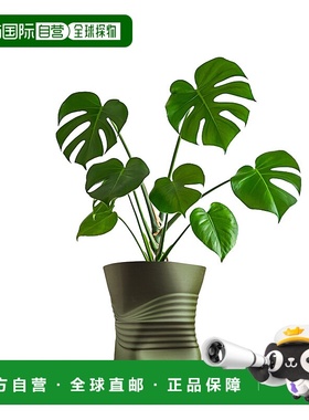 jonathan yBrent MidCentury 现代室内压碎罐环保 3D 打印花盆带