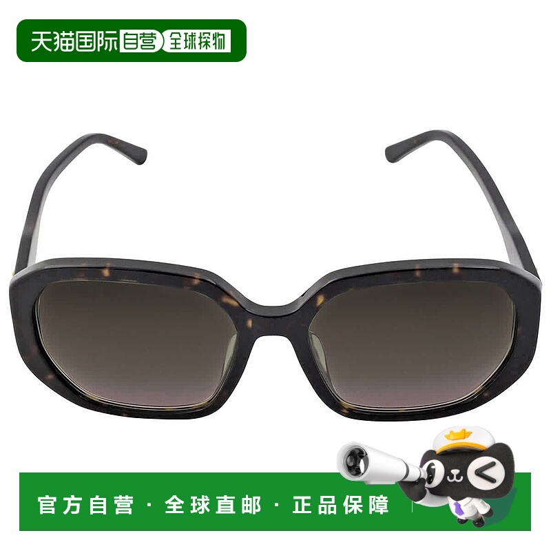 自营Jimmy Choo Brown Gradient Square Ladies Sunglasses KARLY
