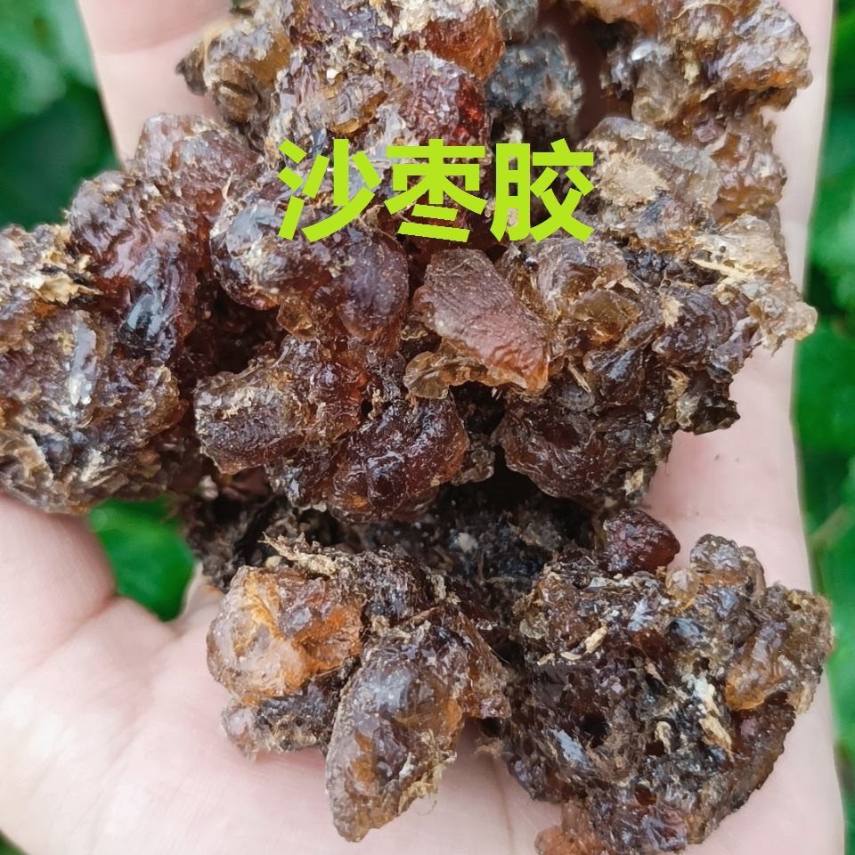 tabi jigda yilimi 沙枣胶100克/g 全国包邮 原产地新疆和田发货