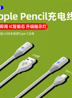 苹果手写笔适用Applepencil充电数据线usb转接头一代ipadpencil二代充电器平板电容笔配件触控笔Type-C转换器