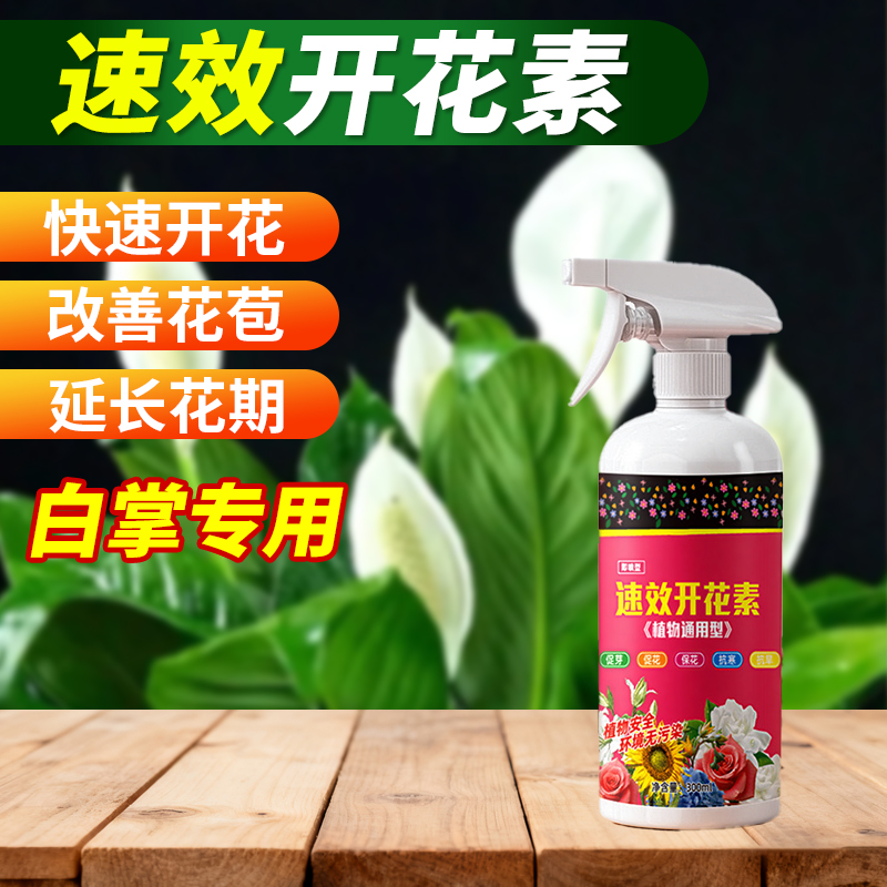 白掌专用速效开花素液体免稀释即喷植物营养液促花催爆花花易吸收