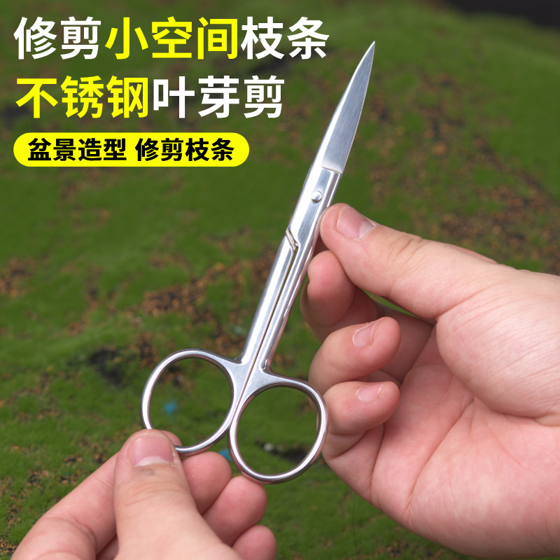 不锈钢叶芽剪盆景剪刀园艺造型剪多肉盆景工具修叶芽剪园艺剪刀,鲜花速递/花卉仿真/绿植园艺,剪刀,淘宝优惠券,粉丝福利购,淘宝优惠卷