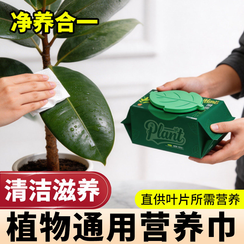 植物叶片清洁湿营养巾营养液叶面除尘工具除尘剂园艺工具清洁光亮