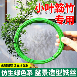 小叶簕竹专用盆景造型专用铝丝铁丝支架三角梅塑形造型竹固定线