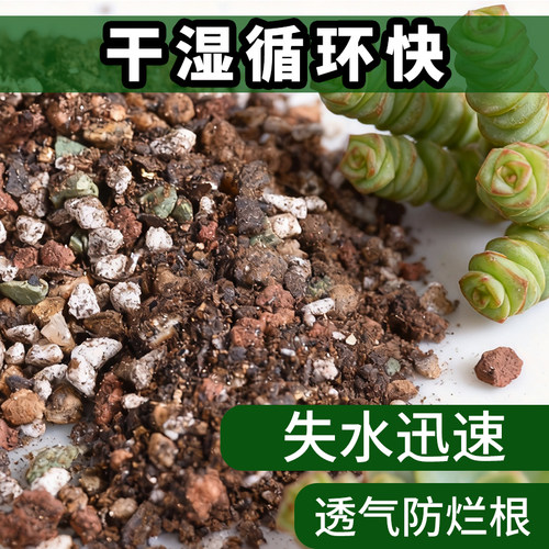 钱串专用颗粒土专用营养土壤种植土肉肉叶插幼苗老桩纯颗粒花土