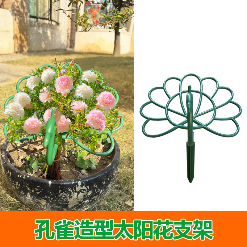 金枝玉叶定型架花卉专用支