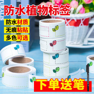 防水园艺植物标签贴纸标识牌可书写蝴蝶兰花多肉花盆植物花卉苗木