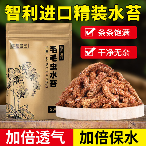 无杂质智利水苔七星级品质兰科土