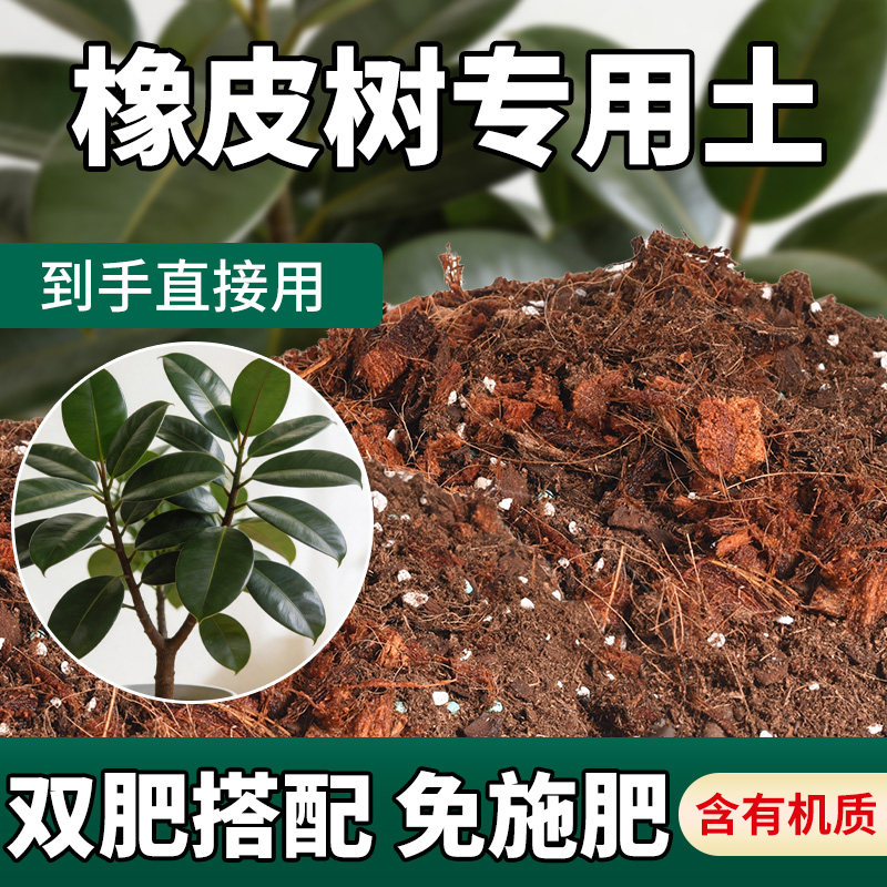 进口橡皮树专用土小盆栽黑金刚红关公雀斑小姐营养土阳台泥炭土