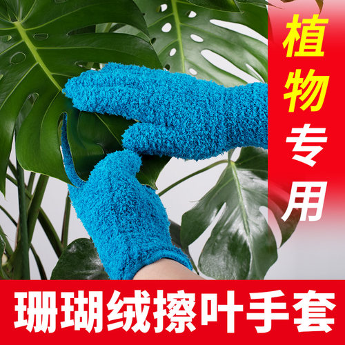 干湿两用擦叶片神器加厚珊瑚绒擦叶手套花卉植物清洁去灰除尘手套