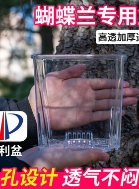 蝴蝶兰专用花盆蝴蝶兰花盆透明花盆蝴蝶兰盆透明兰花水苔控根盆