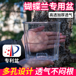 蝴蝶兰专用花盆蝴蝶兰花盆透明花盆蝴蝶兰盆透明兰花水苔控根盆