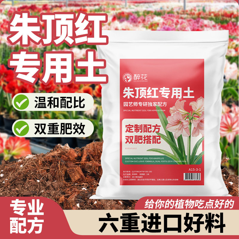 醉花朱顶红专用营养土盆栽阳台